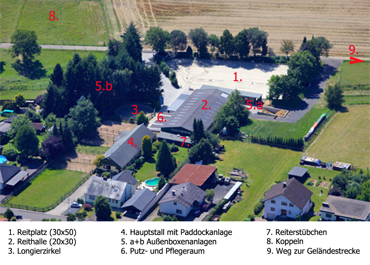 Erlenhof www.reitsportfreundemittelrhein.de