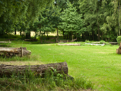 Vielseitigkeit Vielseitigkeit