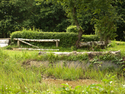 Wasseraussprung Wasseraussprung